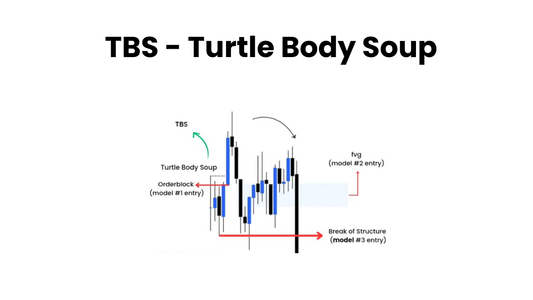 What Is Turtle Body Soup? A Beginner's Guide to the TBS Trading Strategy